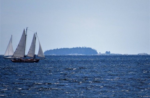 Black Point Cottage | Idyllic, sparkling clean ocean/beach cottage for your spontaneous getaway.