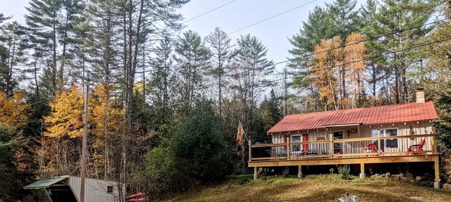 Cozy Adirondack Cabin w/Deck [~15 minutes to Gore Mountain] in Minerva