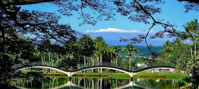 Hilo's Finest 2 bd Condo - Pool, A/C, Views! in Hilo