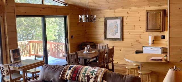 Lakefront Cabin - steps from Adirondack Lake! Walk to Town in Indian Lake