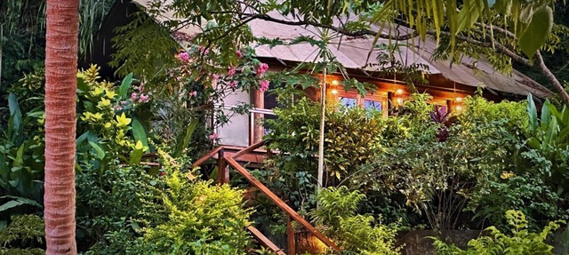 Luxury Tented Treehouse Bure An Immersive Nature Experience in Somosomo