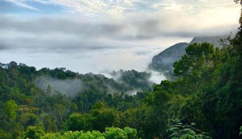 Modern Tor Tao camp in Surat Thani