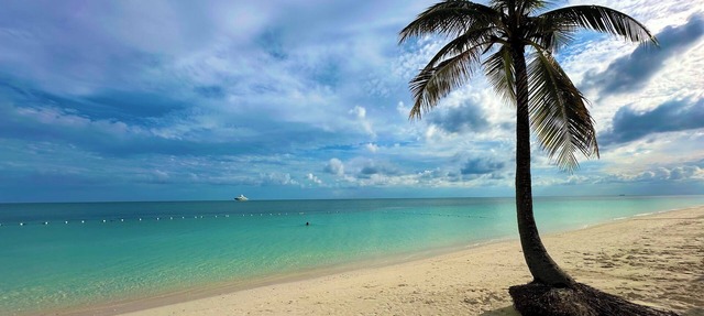 Palm Tree Cove - Stunning Partial Ocean Views; Beachfront Location! in Freeport