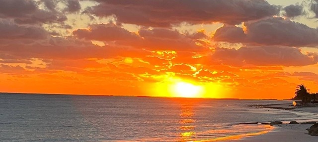 Pristine white sand beachfront condo in Freeport, Grand Bahama. New Owners. in Freeport