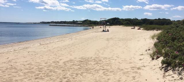 Steps to the beach with an ocean view, in Barnstable