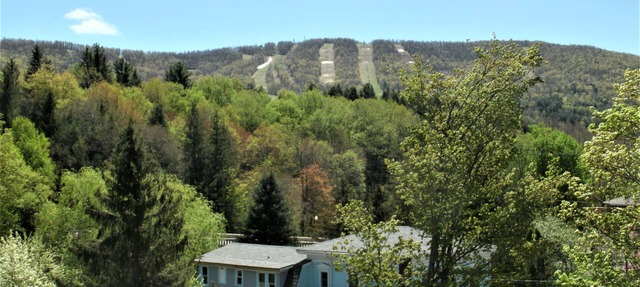 Studio 3 BEDS-SLP 3. Downtown Windham. Next to the Ski Resort. Close to Hunter in Windham
