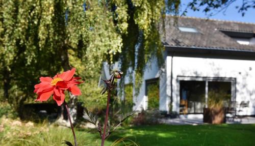 Villa Astrantia in Bruinisse