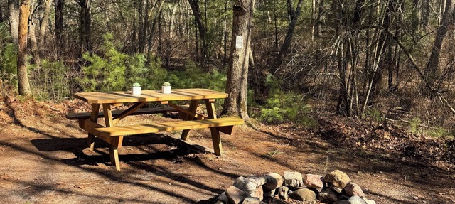 Wilderness Camp in Richmond