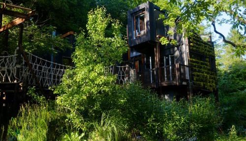 Zero Zero Treehouse in Coleford