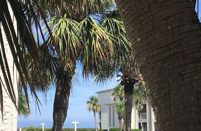 Tradewinds 