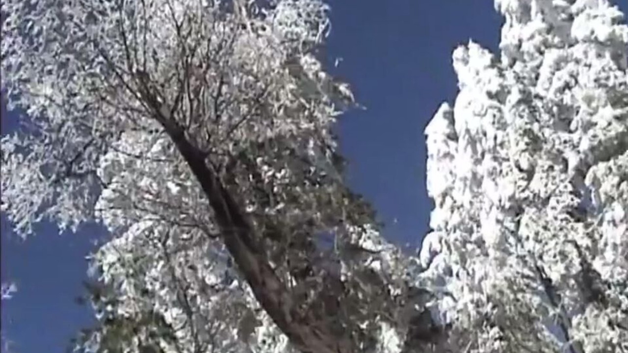 Photo of Others in Lake Arrowhead