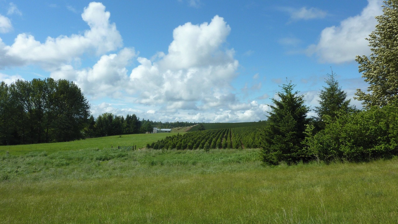 Photo of Others in Molalla